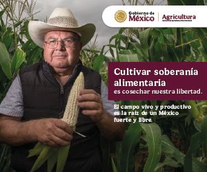 publicidad