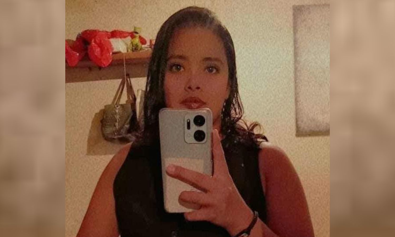 Localizan con vida a la buscadora Lucero Berenice Romo