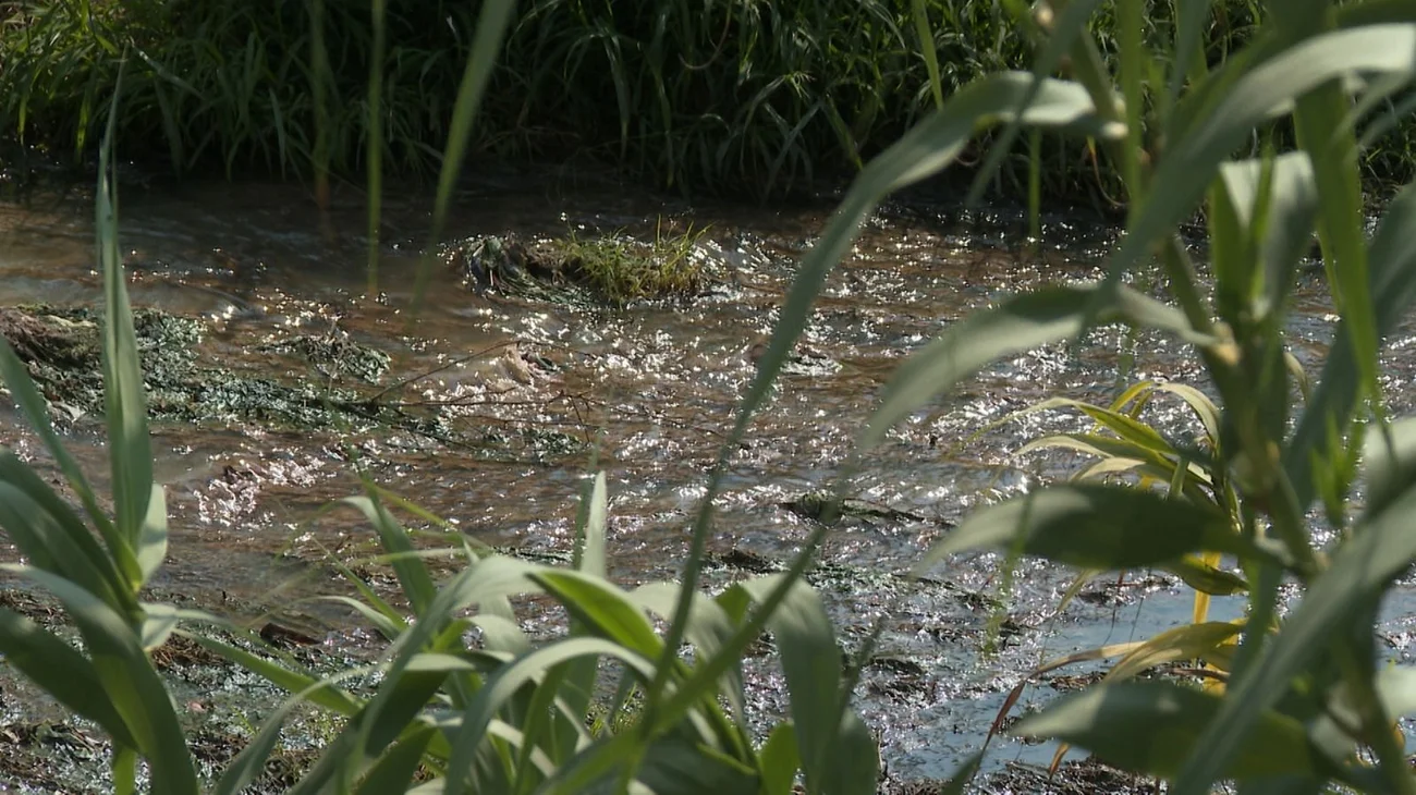 032701f8_f057_47d1_8af2_467ca6f9a898_2927b8c623