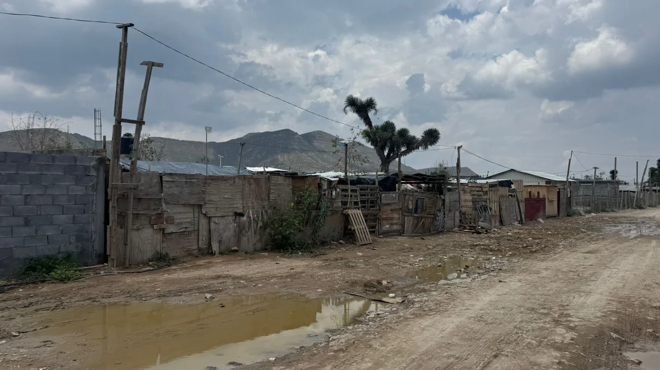 04847c5c_67a4_4608_9147_e421d9bc929f_773308dcbf