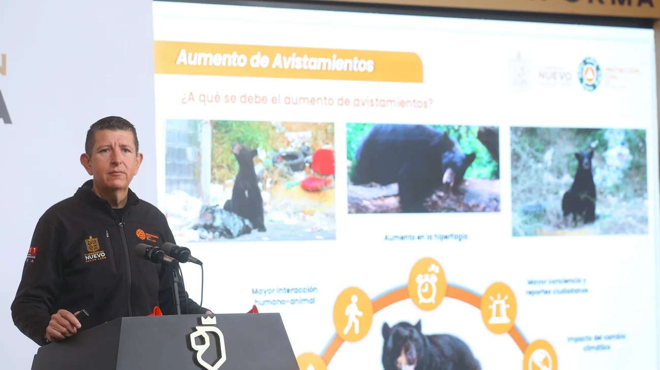 04_LLAMA_PC_DE_NL_A_EXTREMAR_PRECAUCIONES_ANTE_EL_INCREMENTO_DE_AVISTAMIENTOS_DE_OSOS_NEGROS_9888a63d96