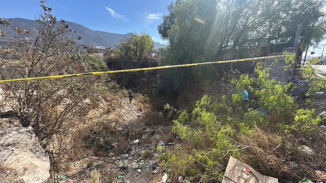 Investiga FGE identidad de mujer encontrada semidevorada