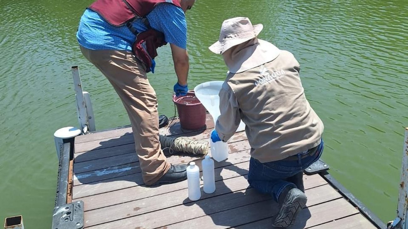 Conagua investiga qué alimenta a la maleza acuática en La Boca
