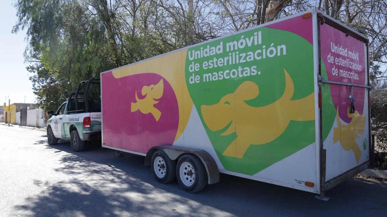 Parras usa esterilización masiva para primer censo de mascotas