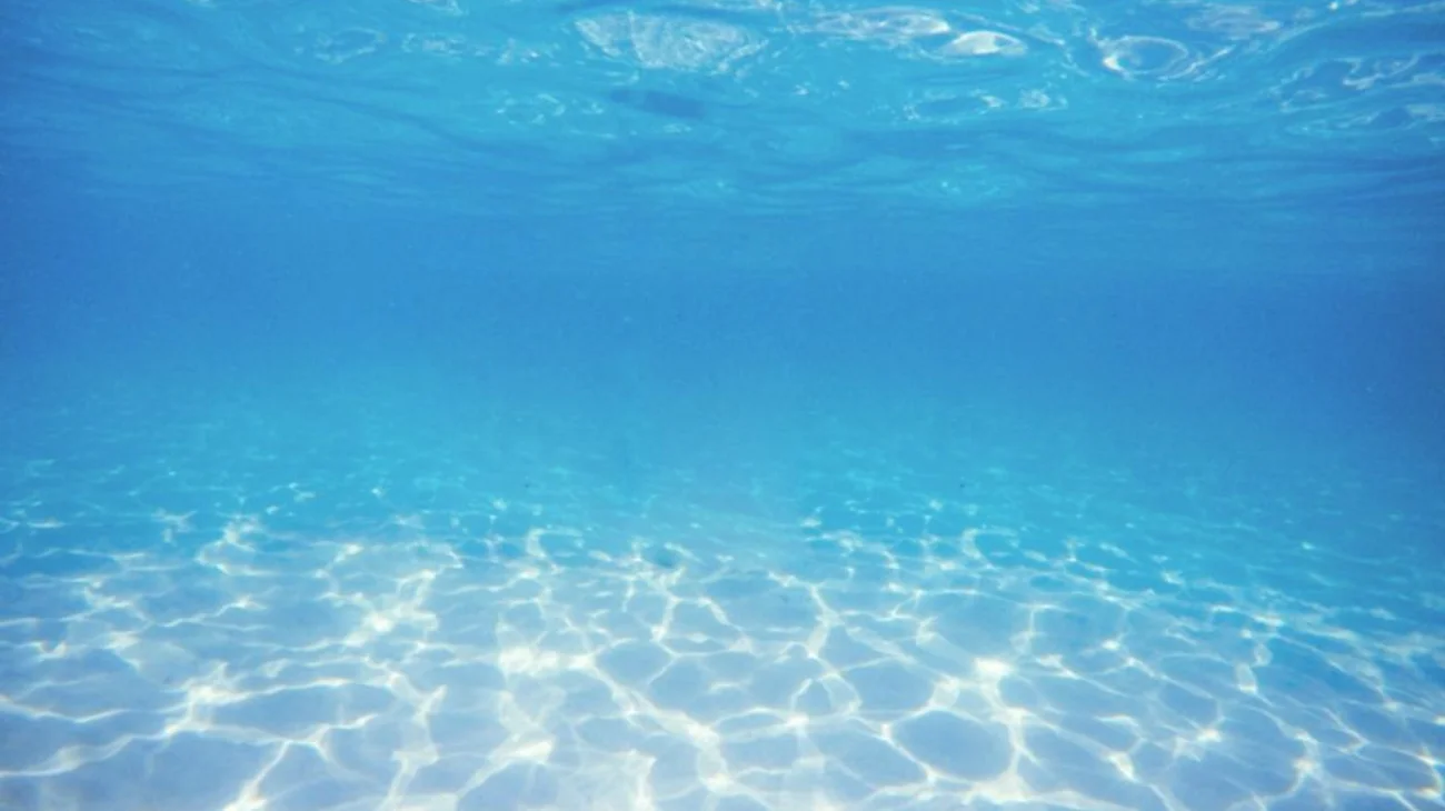 Muere una surfista tras ser atacada por un pez aguja