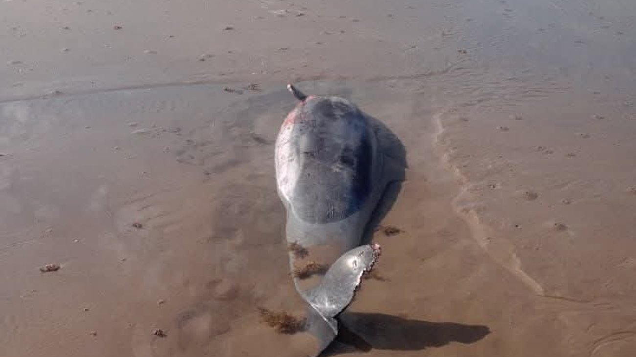 18df82ff_e9c7_485b_a9dc_f0598ef81f6a_2856c08184