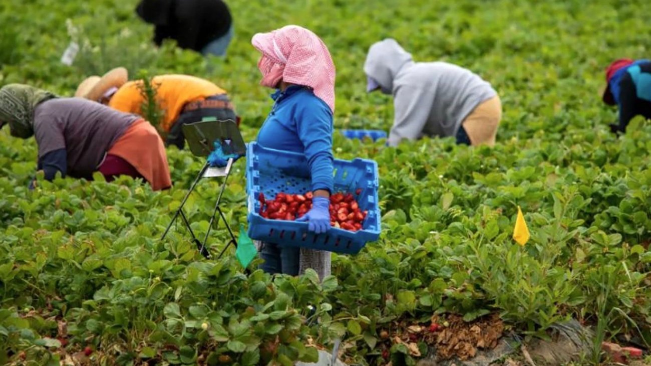 Familia mexicana enfrenta cargos por explotación laboral en EUA