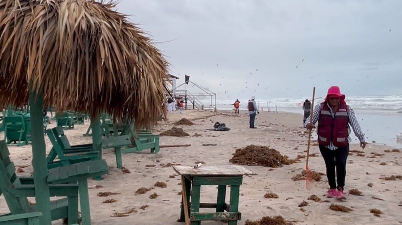 Recolectan más de 400 toneladas de basura en Playa Miramar