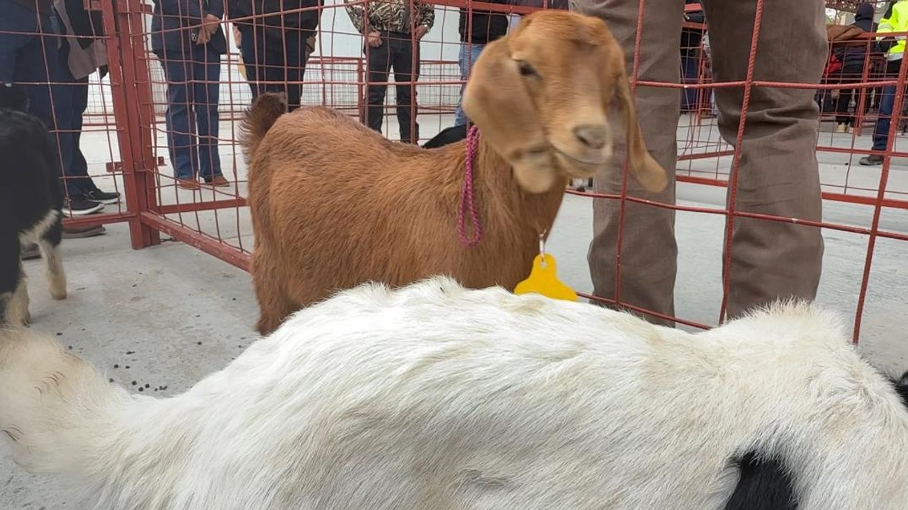 1ac64bdf_be04_492b_b85b_bbec447d62e7_a692b6c7d1