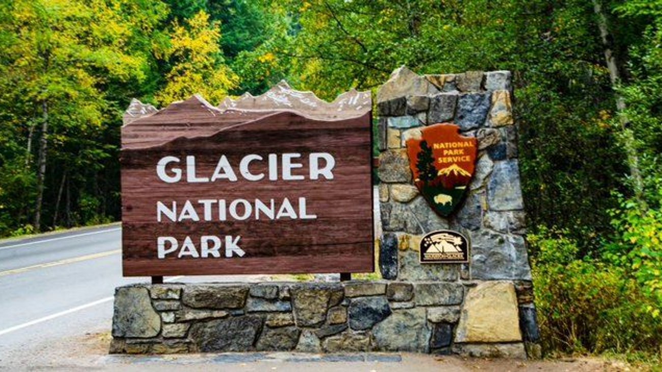 Muere excursionista por ataque de oso en un parque de Montana