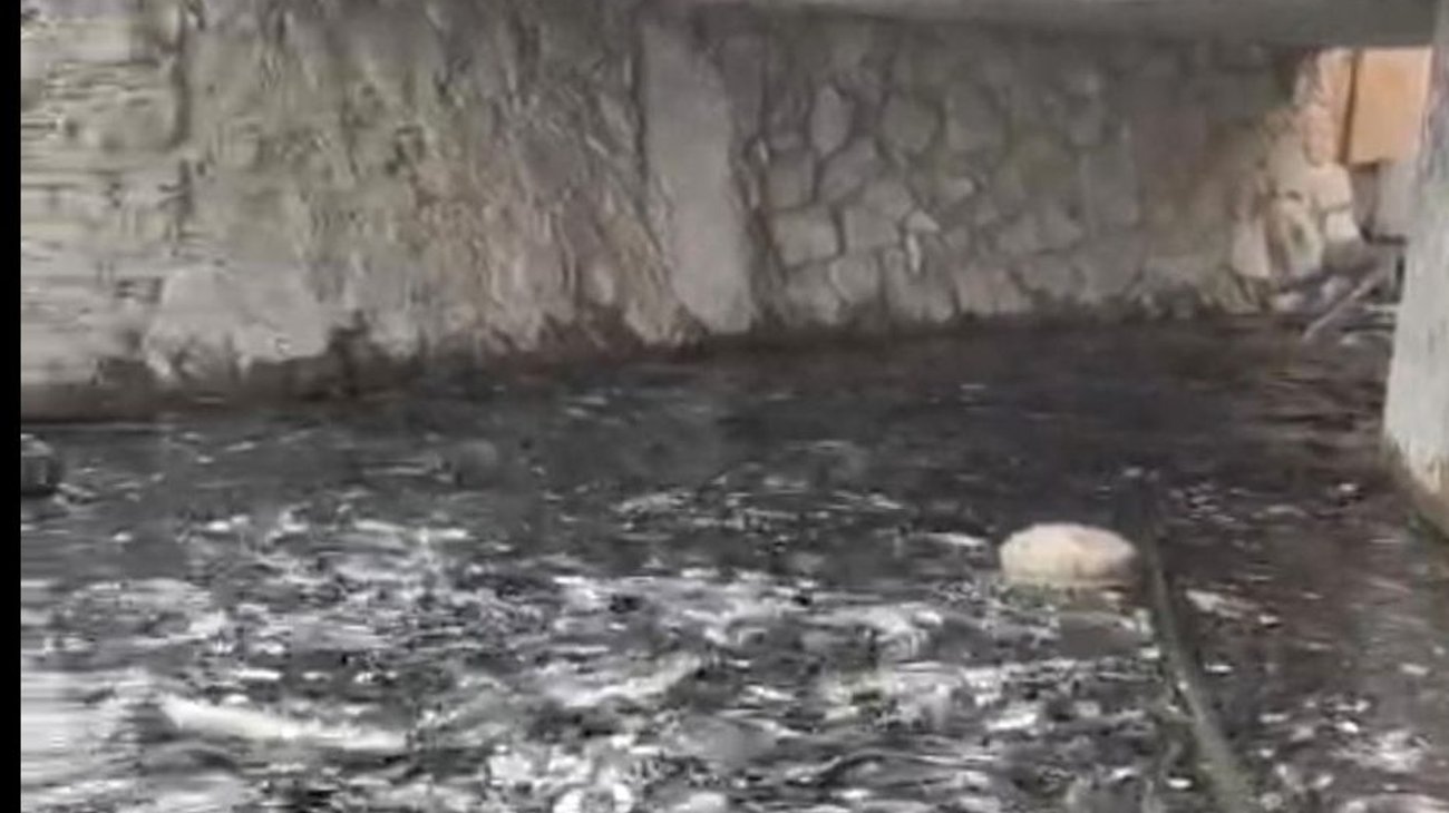 1e17d97c_55d9_44ef_971e_76caae587836_c4c6a8256b