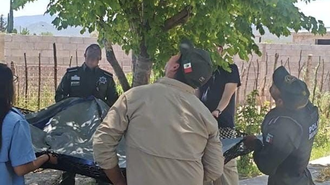 Oso juvenil es rescatado en el ejido Cuautla de Saltillo