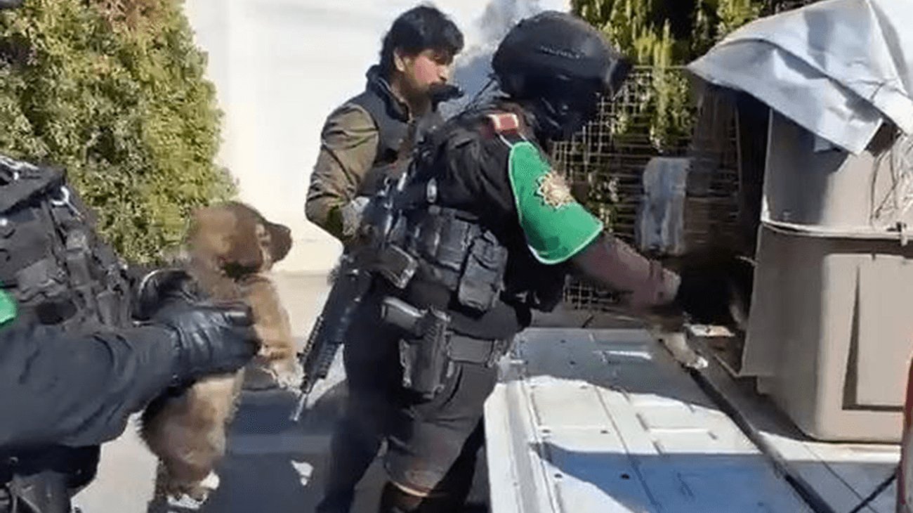 20260204_09_accionesfirmes_divisionambiental_maltratoanimal_05_1aa21cf9c1