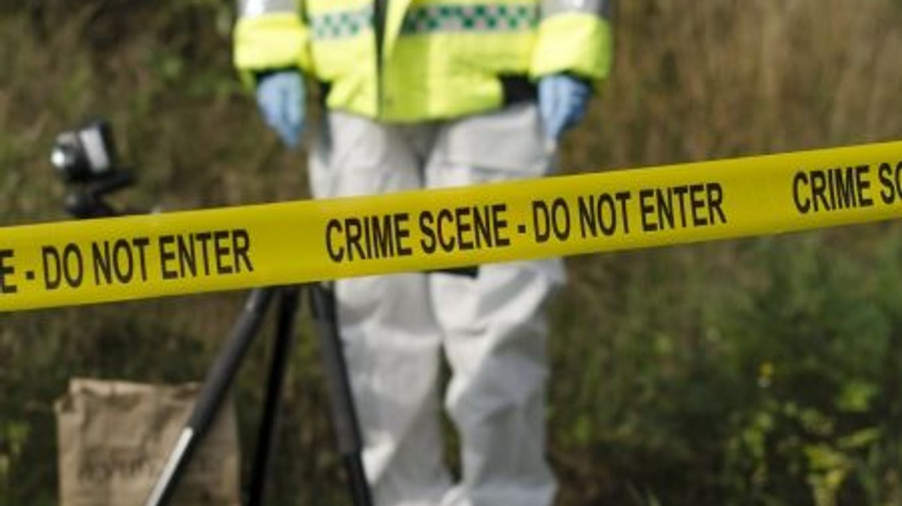 Fiscalía de Veracruz investiga hallazgo de restos en Álamo