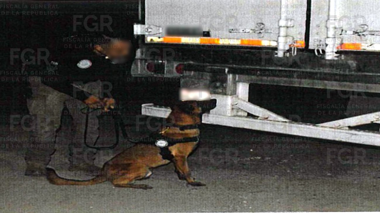 Dan 8 años de prisión por transportar más de 262 kg de droga