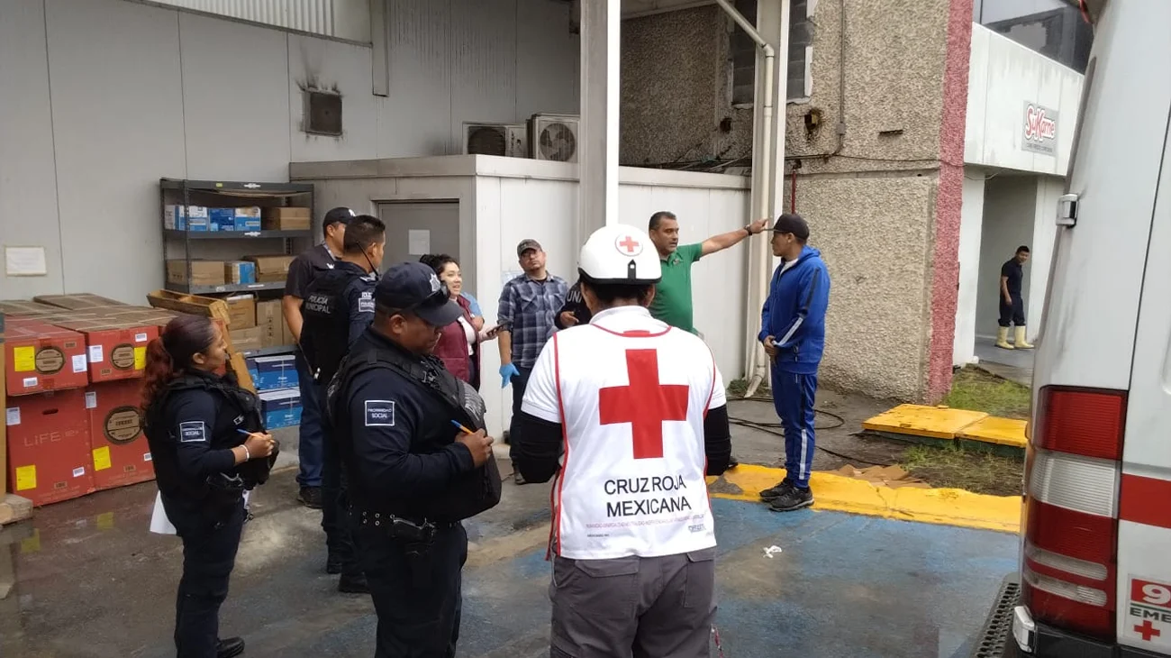 2fe0e90d_925c_48db_80ed_9f6962c028c9_ef5595226a