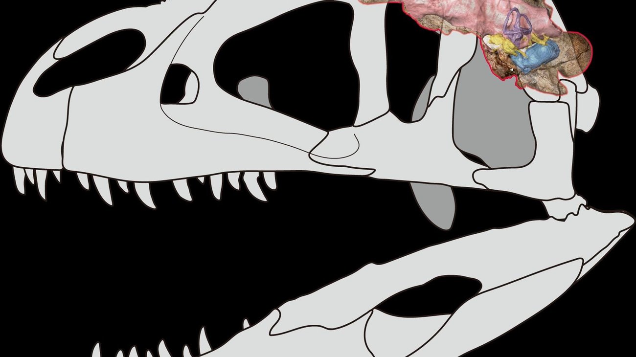 2ffd61495986e7f7207e5d6bad22b6aeb68d77d4w_f7b5acee90