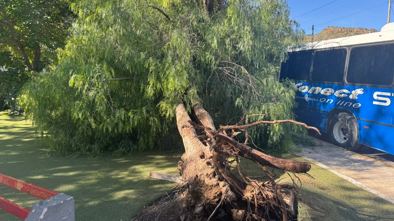 3001addd_f3de_488c_801c_4abc937e261b_fda0deb7f3