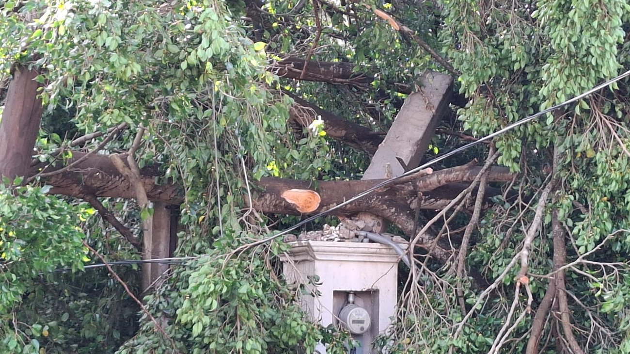 Intensas lluvias provocan afectaciones al sur de Tamaulipas