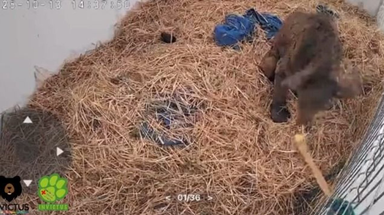 3a7a6383_1385_49e6_89e7_03e7ffc02572_d1d2cf290c