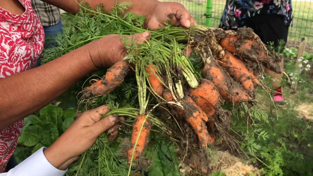 3e741bb6_2364_4855_aae1_dfc88b516fa2_cdc409feca