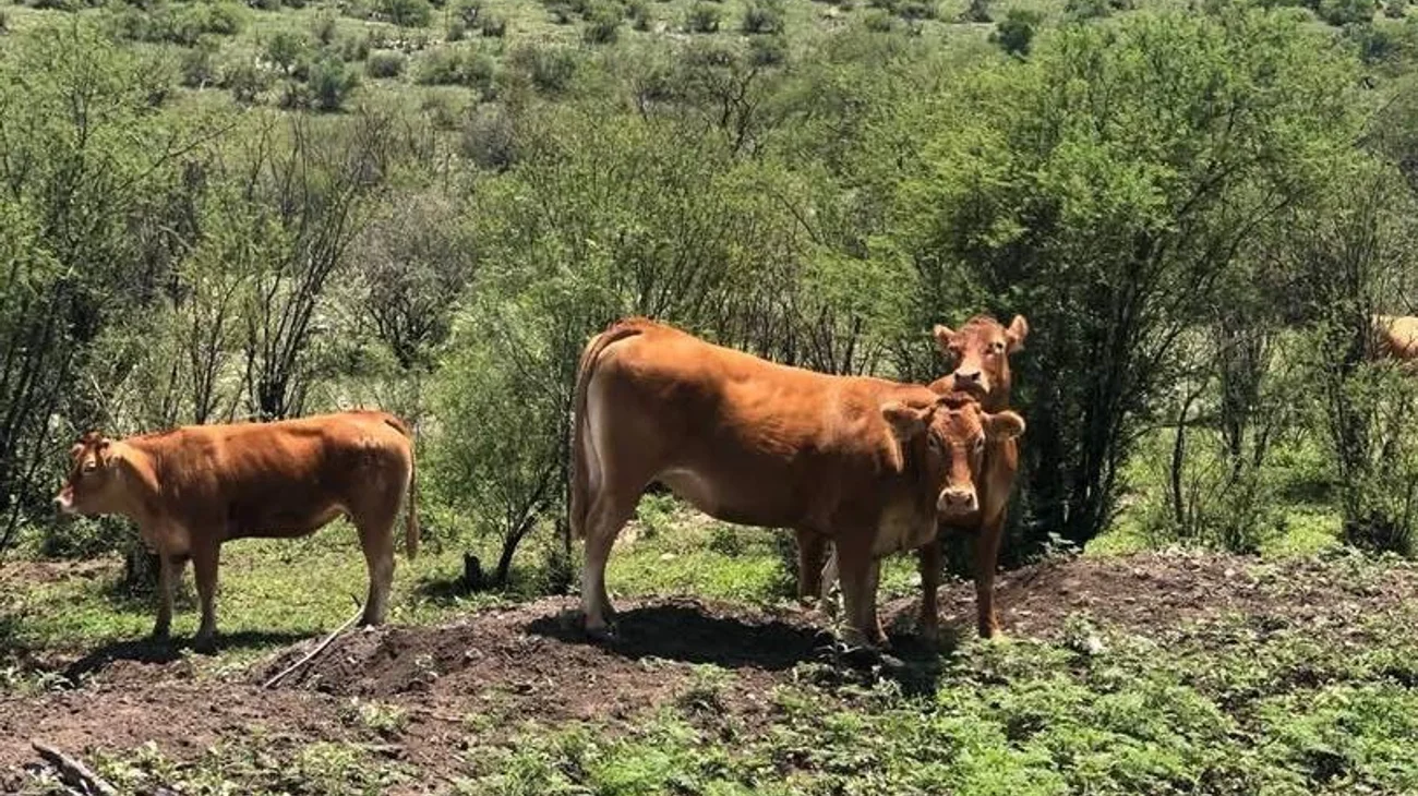 434dbc5d_15c2_43aa_821f_97f3ecd9a7e7_96514f08bd