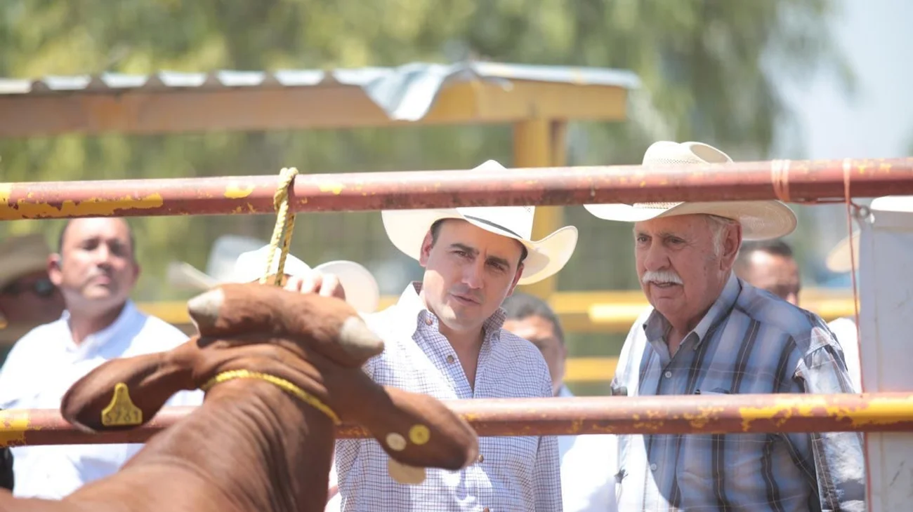 43d29b26_1e29_4339_a3f4_ca27f2714b67_dfe60b63e5