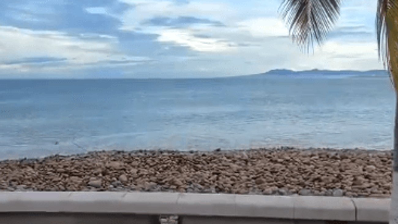 Aeropuerto de Puerto Vallarta reabre tras el huracán Simón