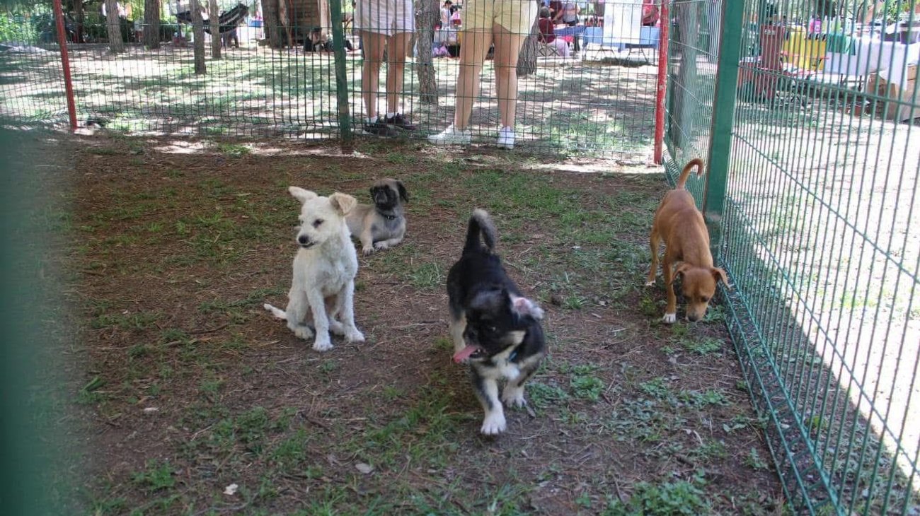 4d9ae69f_030e_431c_acb8_e2e5cf87ec55_9e91df9594