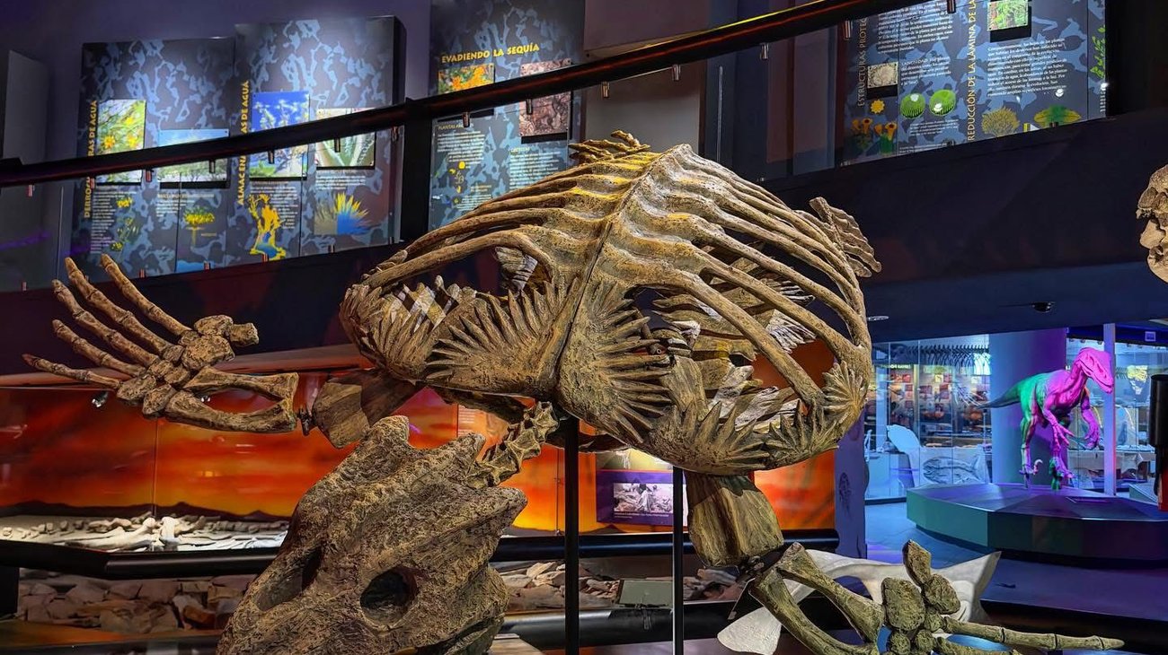 MUDE lanza campaña turística por Mundial y nuevo vuelo a CDMX