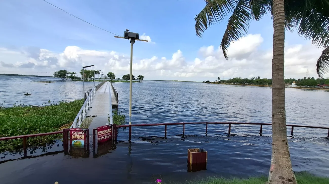 534d1a19_7a7c_450c_b2e5_8b994e3d78e1_88a287e67f