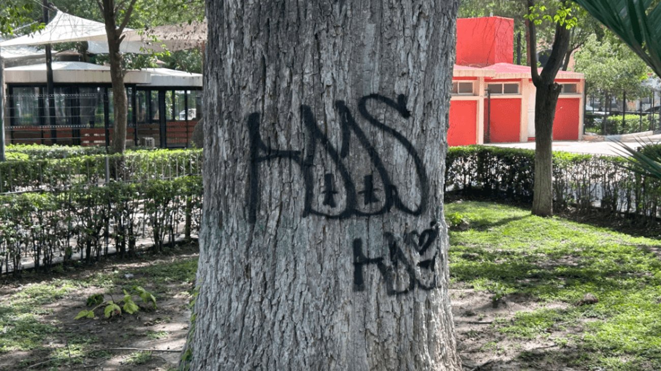 Grafiti y vandalismo se extienden en Alameda de Saltillo