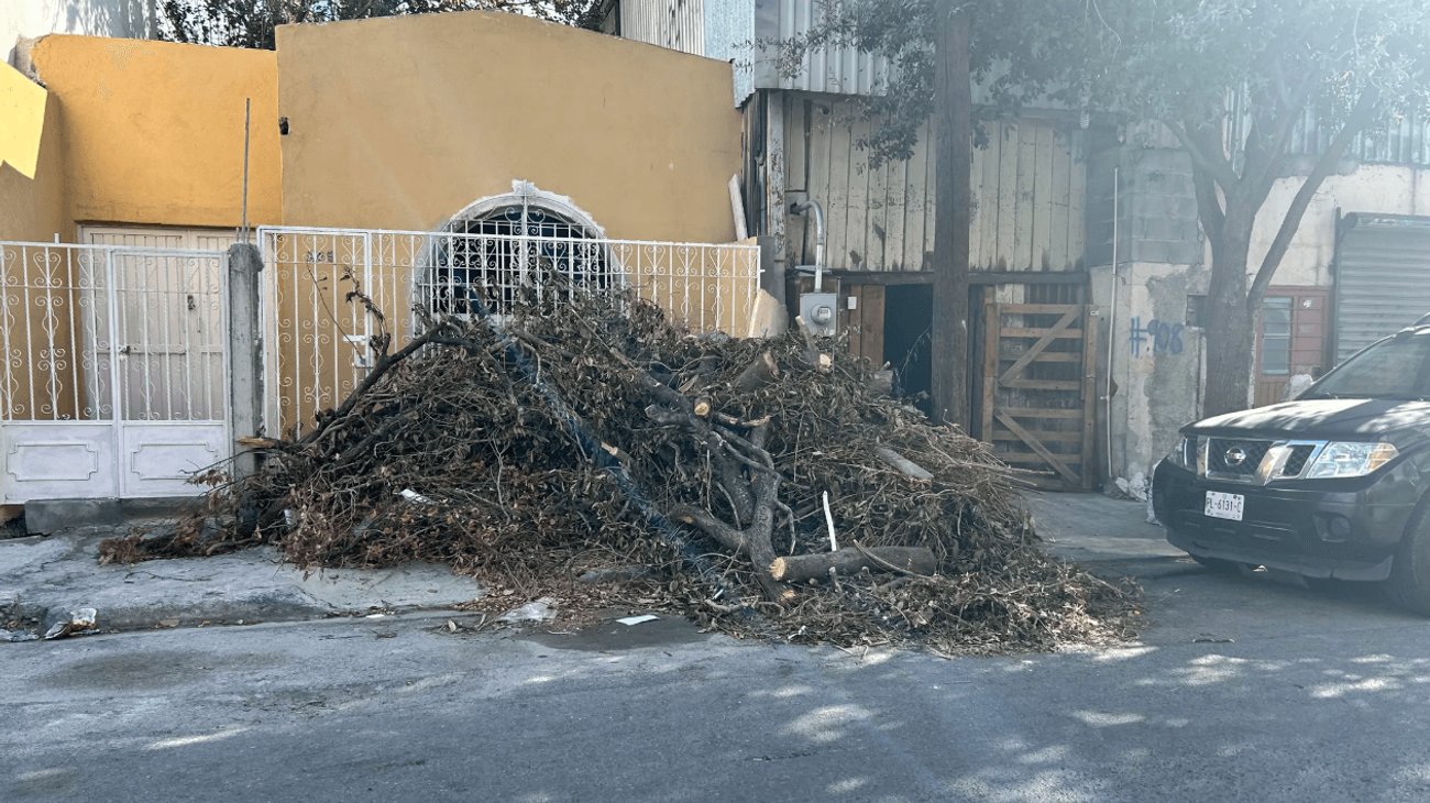 Ramas bloquean banqueta desde hace tres meses en Monterrey