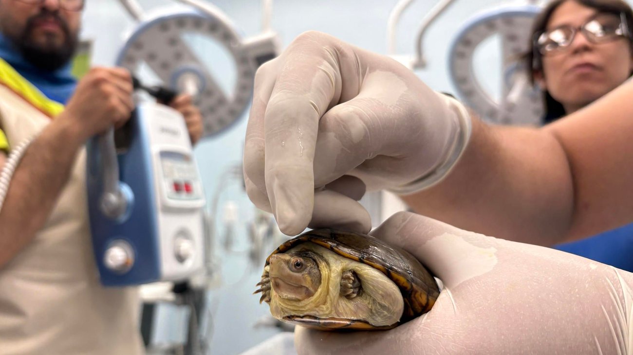 583a43d0369404b546c773949dcfbe5a135f0bc5w_718e904ae5