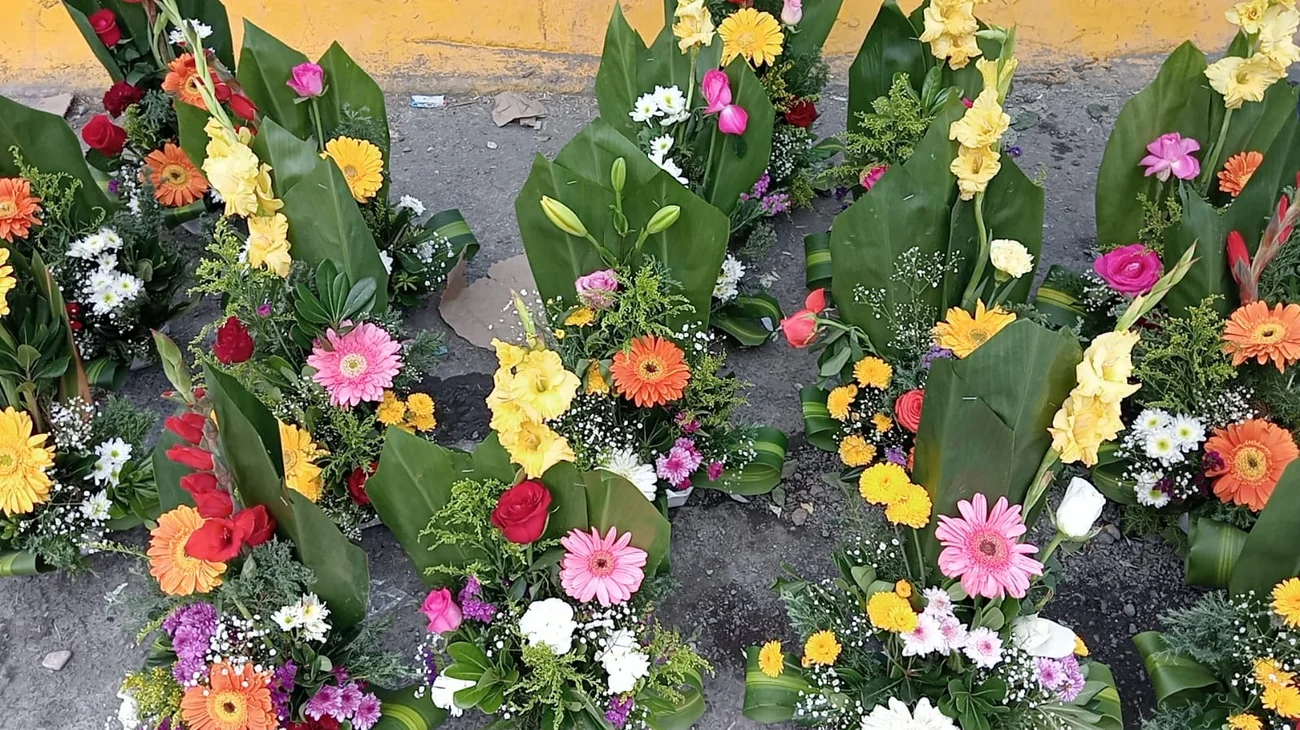 5d339bdf_e0a2_4a86_a2f9_db44a1233e3e_910a070dac