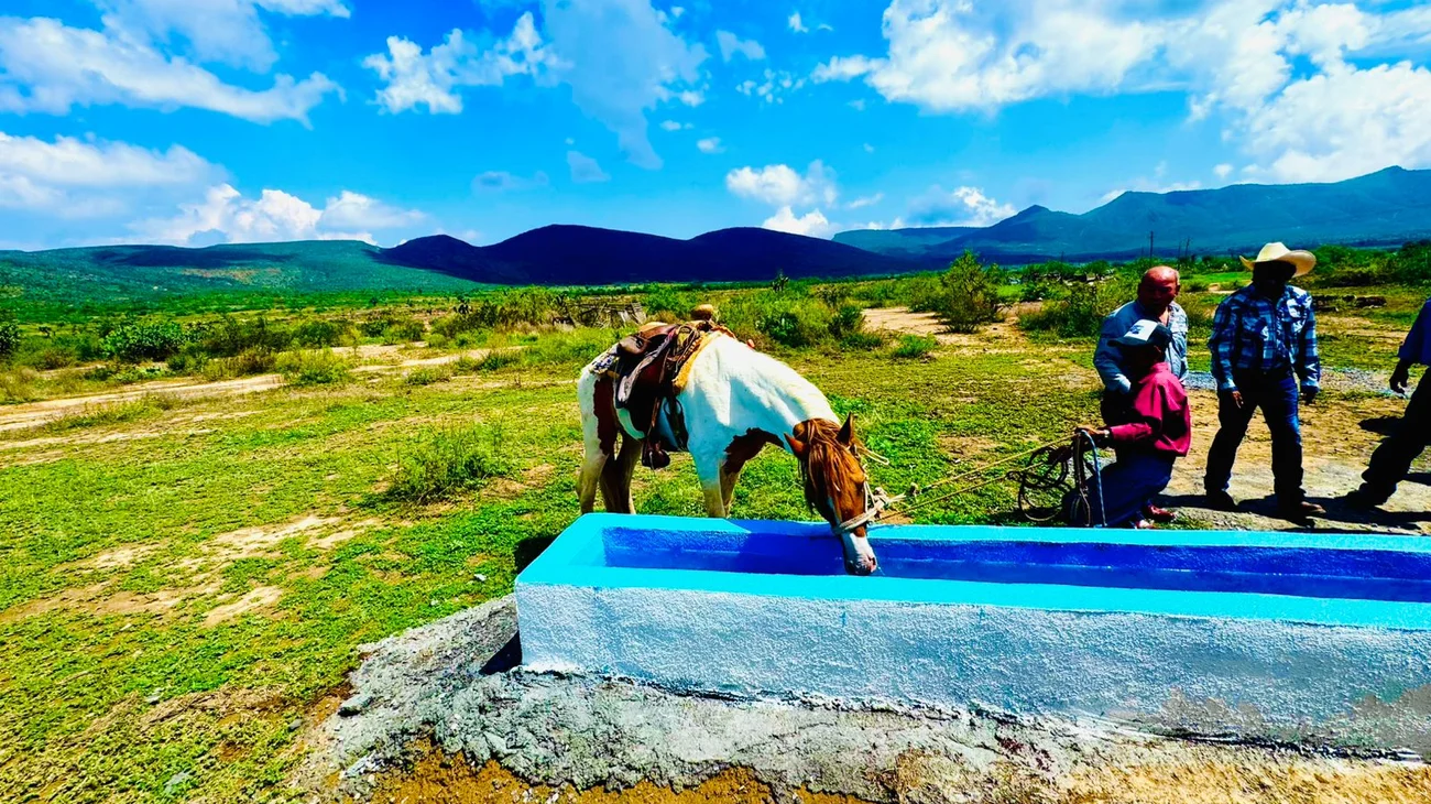 5e8a886f_0972_484e_9c39_764060c1f2e3_6ace024fd3