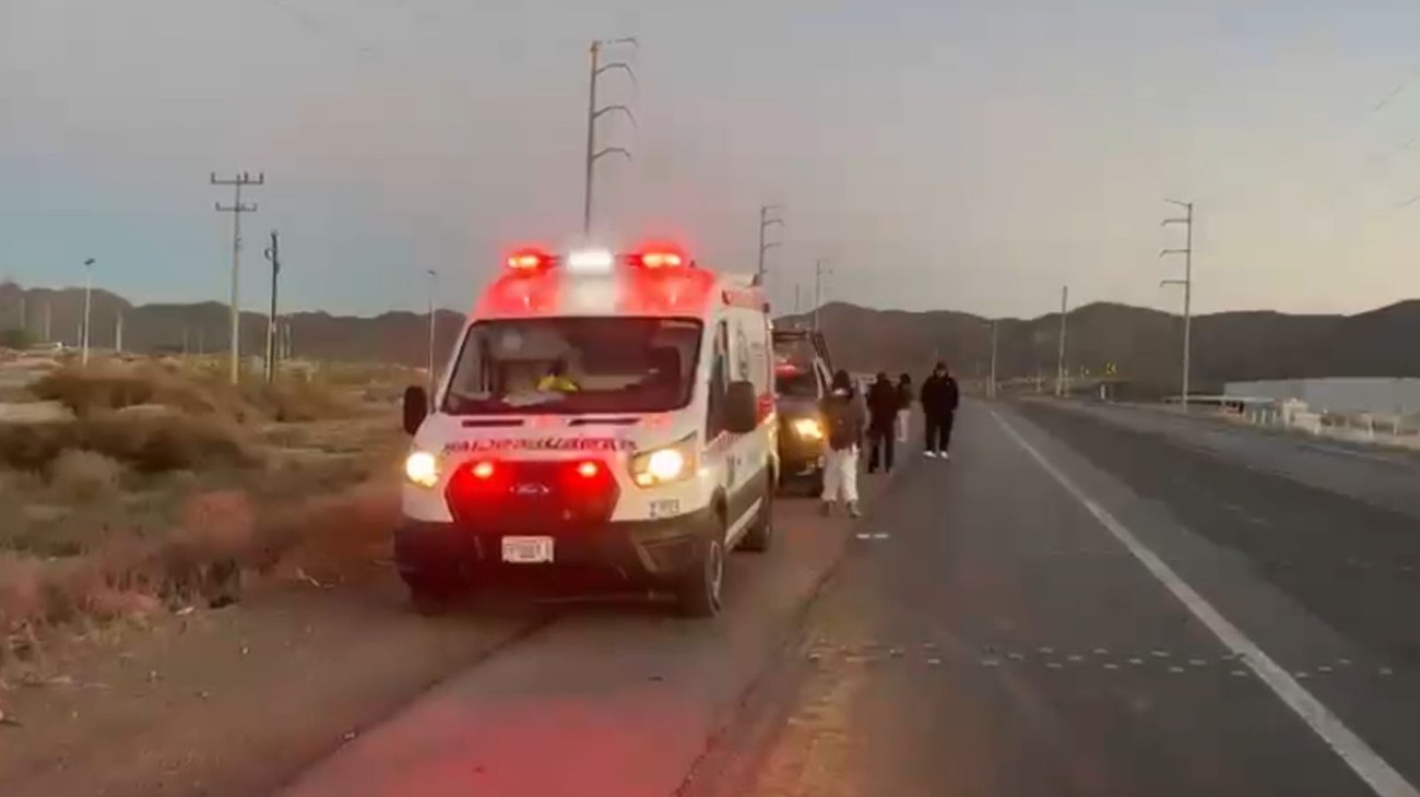 60cbb241_78bb_4a40_990e_380d81c7ec55_74f1636d6d