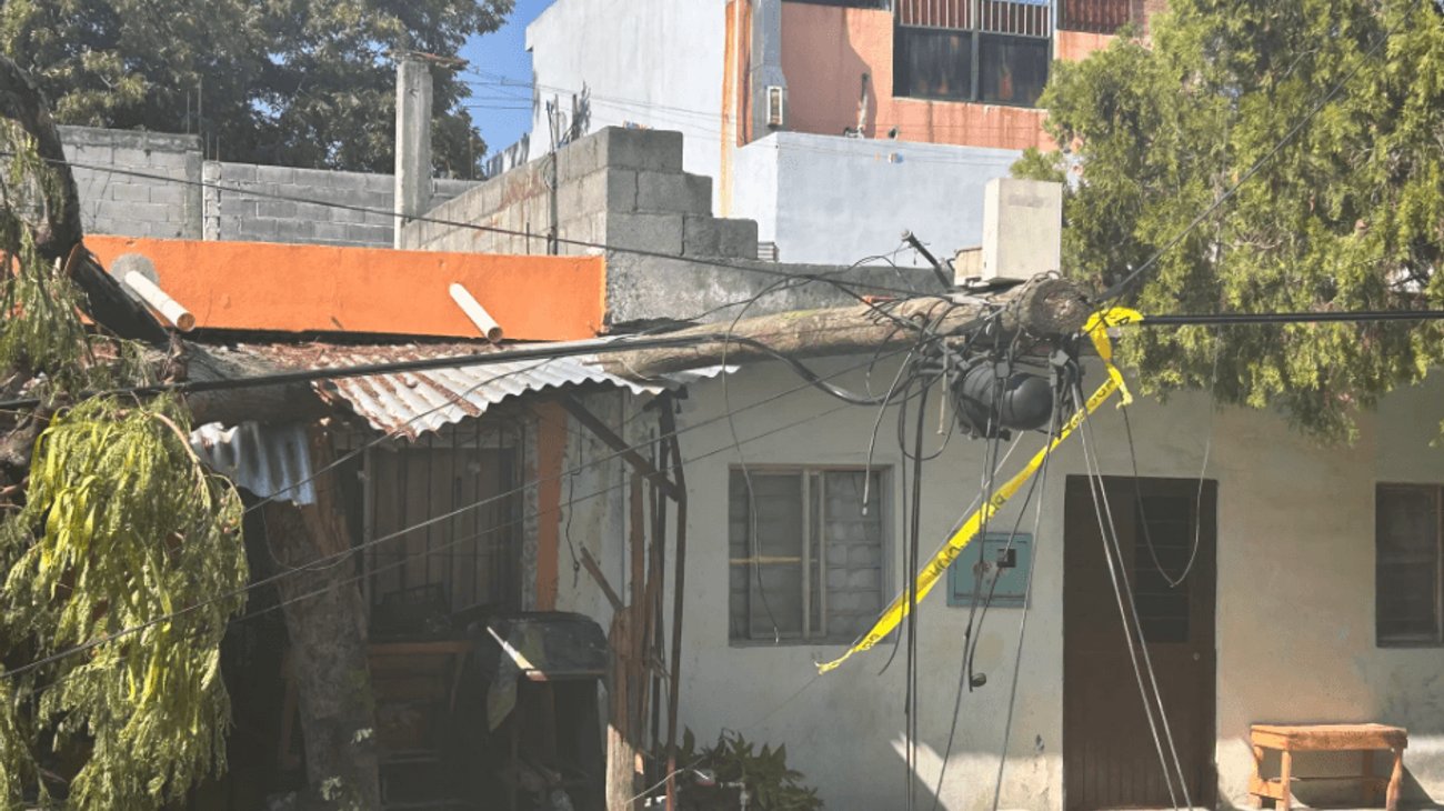 Caída de árbol deja a colonia sin luz en Guadalupe
