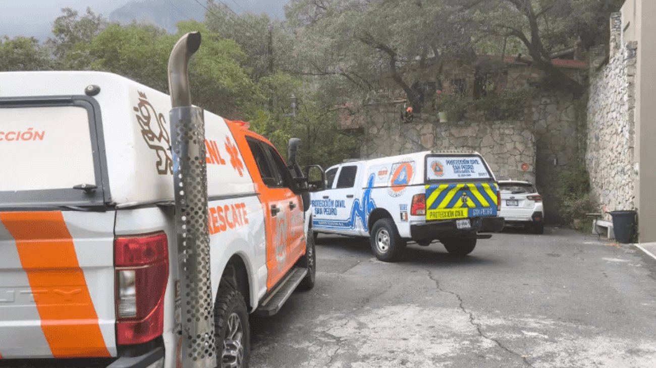 Oso entra a una vivienda y causa destrozos en San Pedro