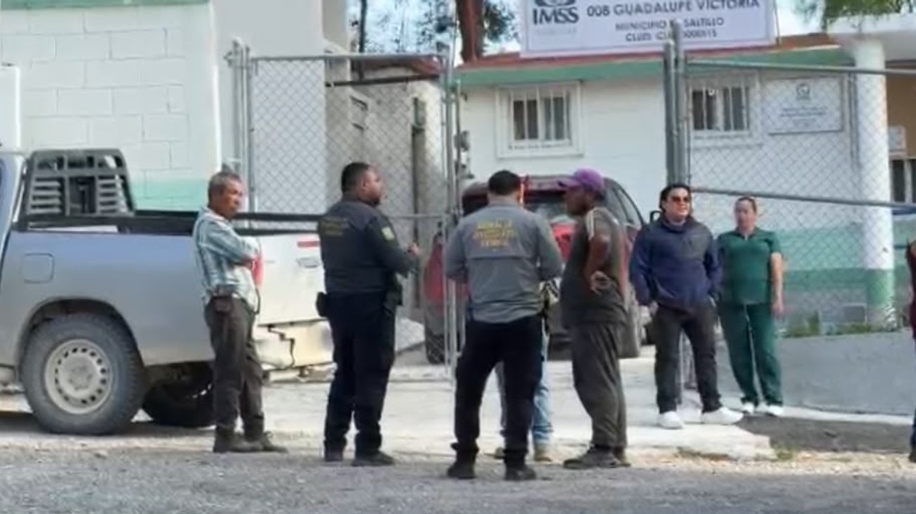 Muere hombre tras ataque de abejas en ejido de General Cepeda