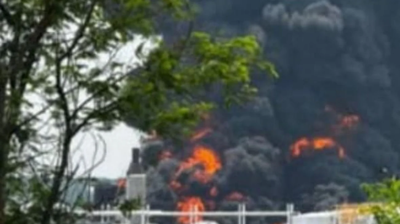 666e2e14_5947_4640_aa02_39bf1376c609_3415bb0299