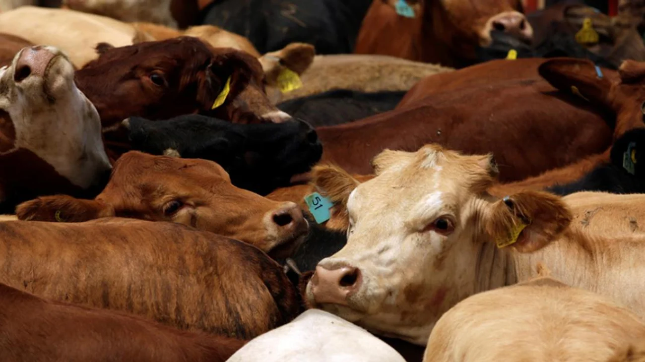 66e8c47746350_460b163194