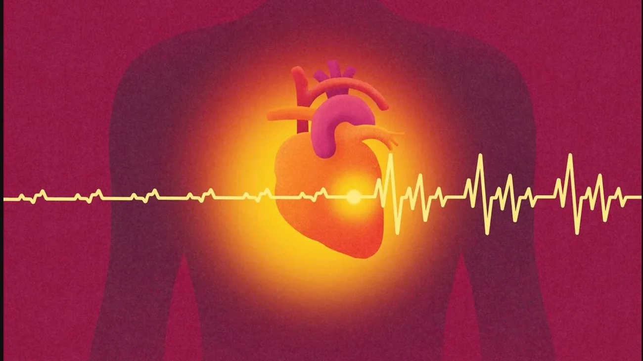 68e00024_4cc7_4884_82cf_4e2696b06b1c_6b04cdae97