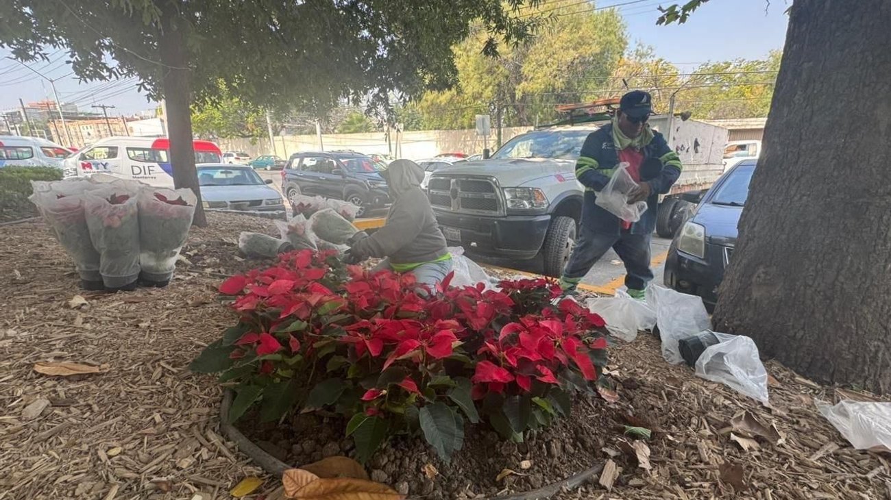 6b9a03ab_5fa7_4548_85b1_ddeff033e25d_2b2ccdf281