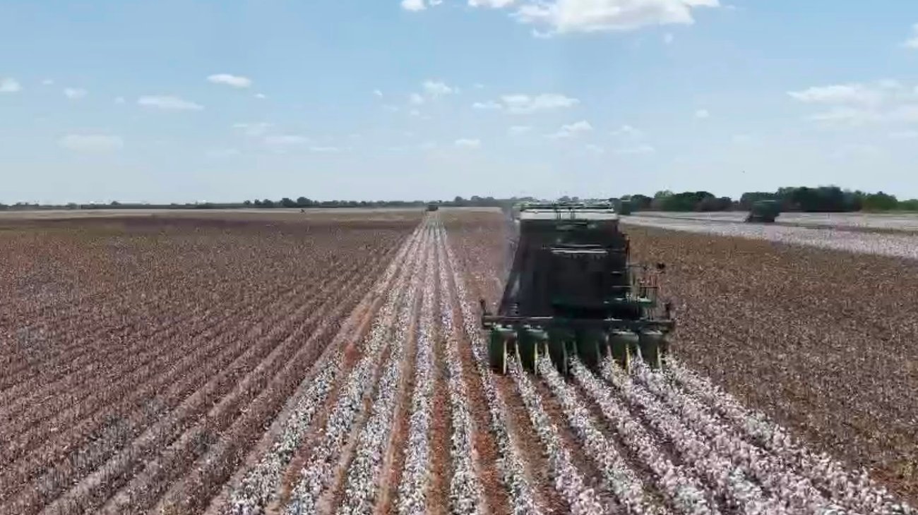 Productores de Tamaulipas alistan protesta ante falta de apoyos