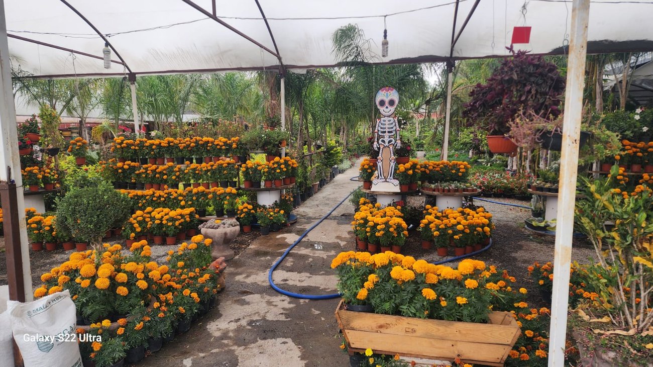 731097f9_dc68_42c4_a740_ca0d93f4814a_8f268a64a5