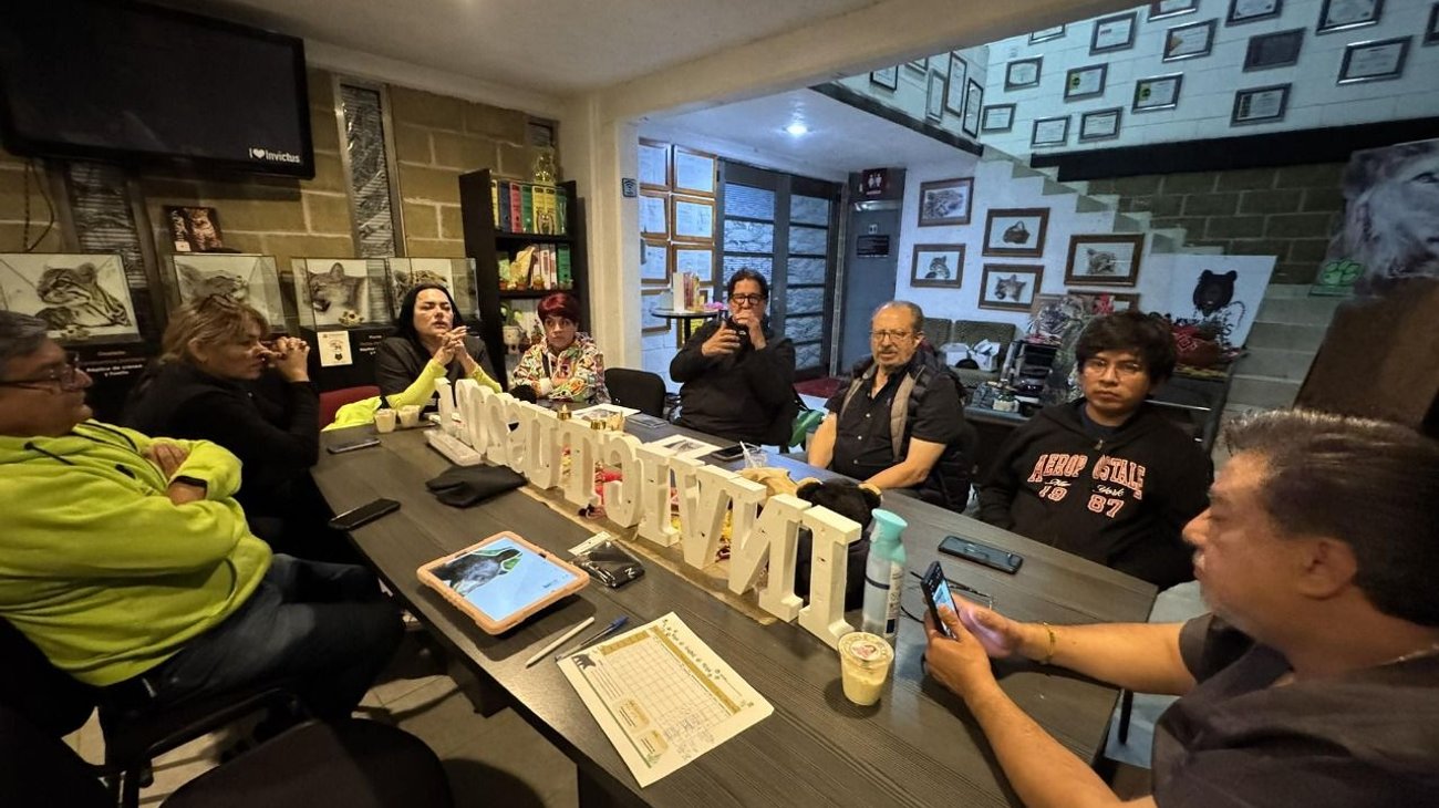 7bce8b79_30f0_4d52_b90b_bbe0720869a8_f39355095a