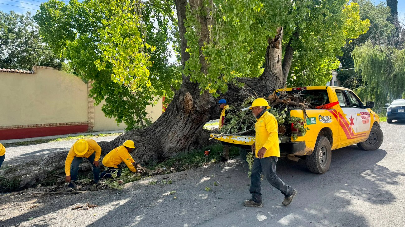 Arteaga retira ramas en riesgo para prevenir accidentes 