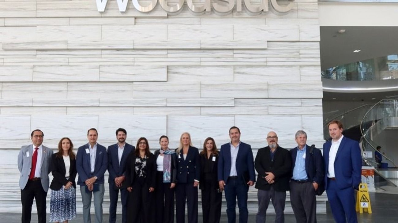 84d0219f_3236_4f84_b847_883086b7307e_b3645252ad