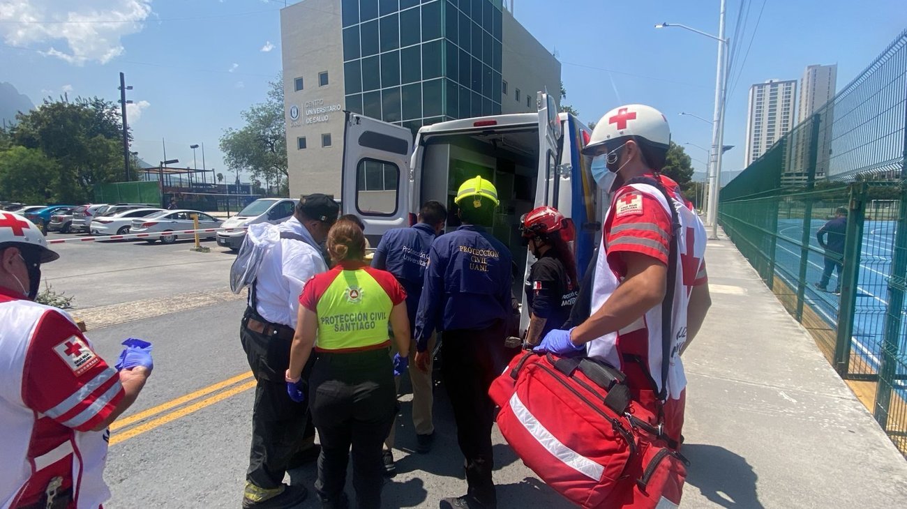 Ataque de abejas moviliza a cuerpos de auxilio en Santiago